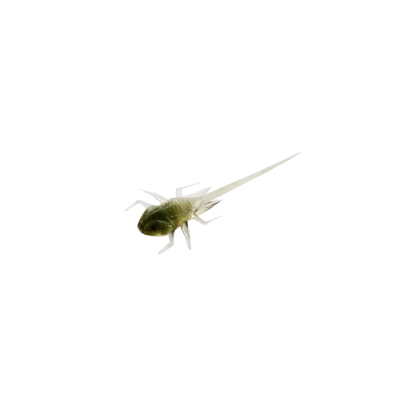 13 Fishing Bernie Finesse Panfish Soft Plastics – Greenhead Pattern, 6-Pack 1