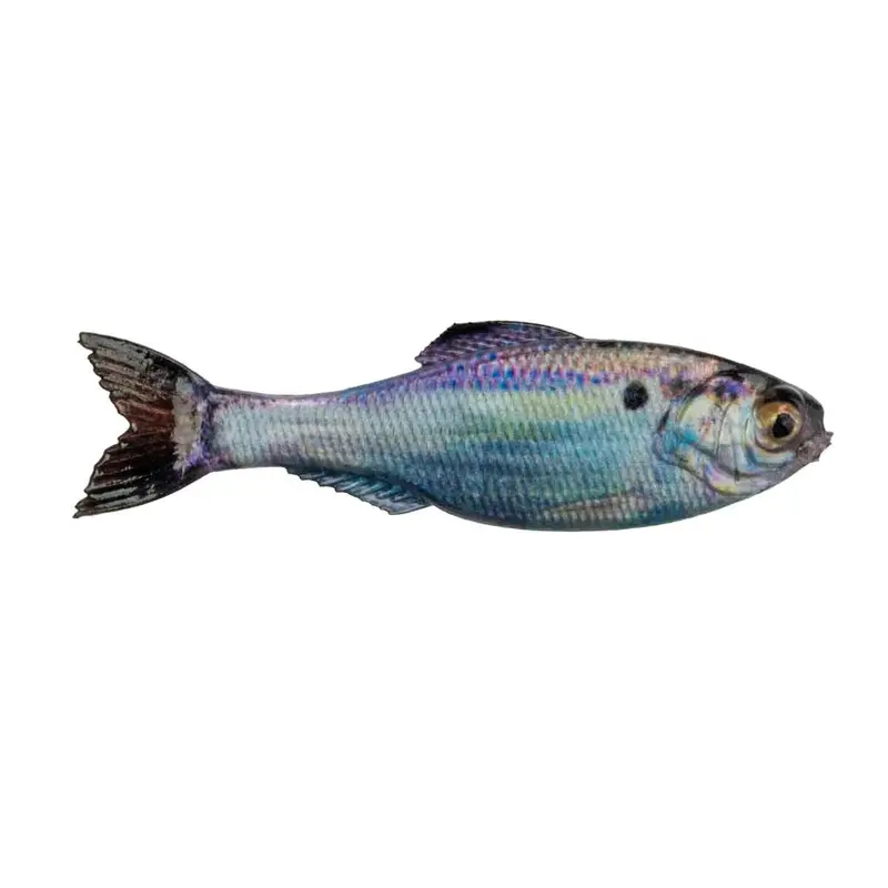 6Th Sense Panorama Series Fishing Rod 1