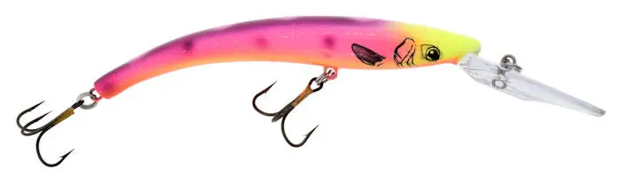 800 Series Soft Bait – Mardi Gras Theme 1
