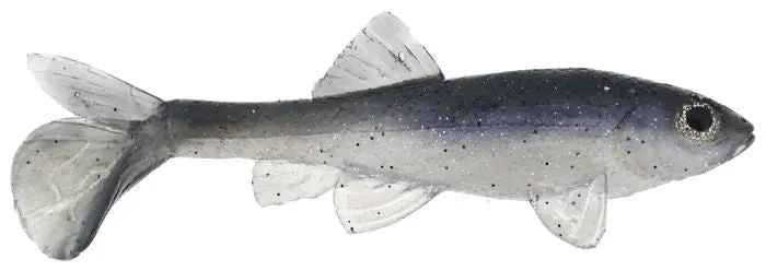 All American Trash Fish Soft Bait – Natural Hitch 1