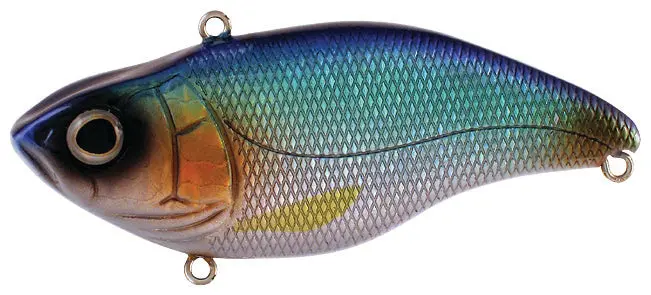 Aruku Shad Jr. – Blue Shiner Color 1