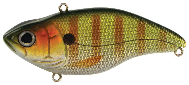 Aruku Shad Jr. – Perch Color 1