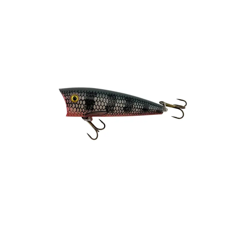 Cg Hard Lure Loudmouth Topwater Popper 3