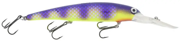 Custom Walleye Deep Diver – Purple Perch St Shade 1