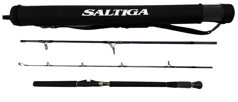 Daiwa Saltiga Popping Rod – Heavy-Duty Offshore Casting Rod 1
