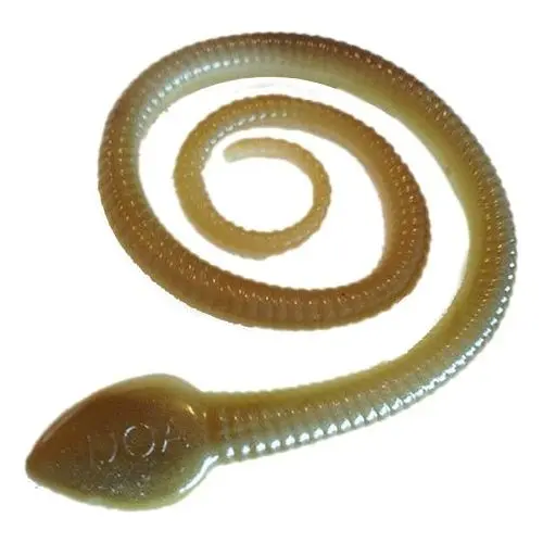 Doa C.A.L. Sna-Koil Worm – 12-Inch, Arkansas Glow, Pack Of 6 1