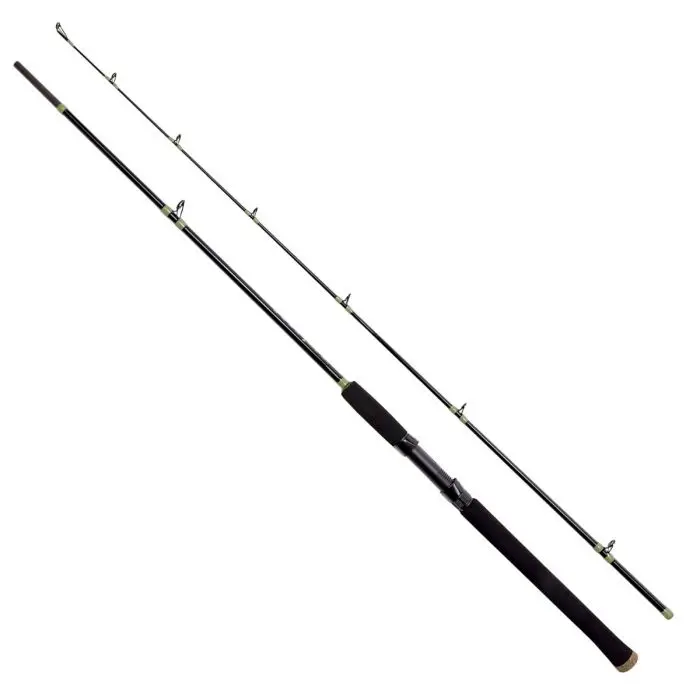 Eagle Claw Eccat96C Cat Claw Casting Rod – 9'6" Two-Piece Catfish Specialist 1