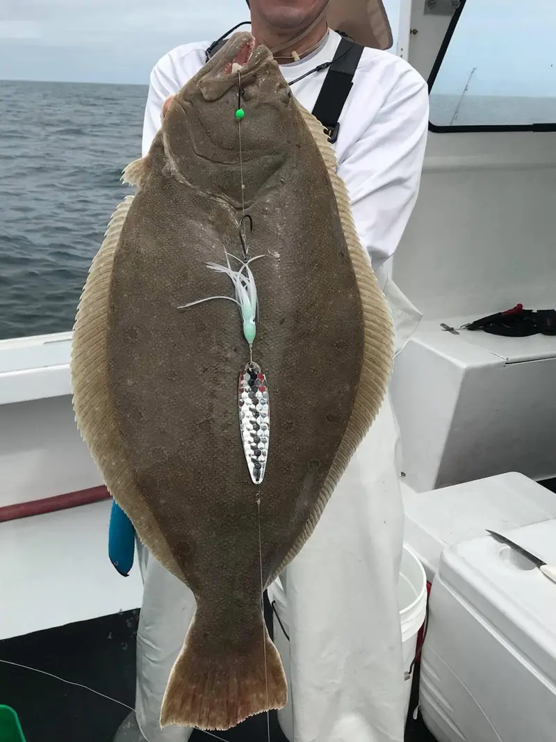 Fluke Fishing Charter – Hyannis, Ma Trip On June 16, 2025 1