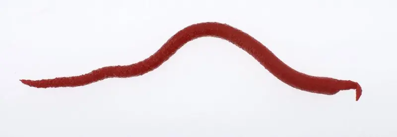Gulp! Extruded Bloodworm – Highly Attractive Saltwater Soft Bait 1