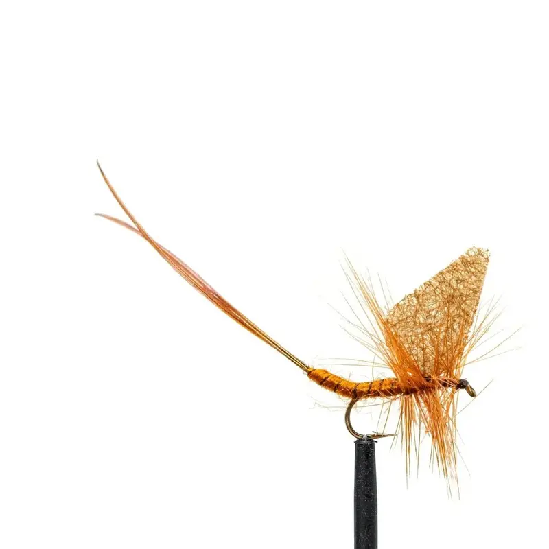 Jackson Cardinal Dry Fly – #10 Brown Mayfly, Pack Of 24 1