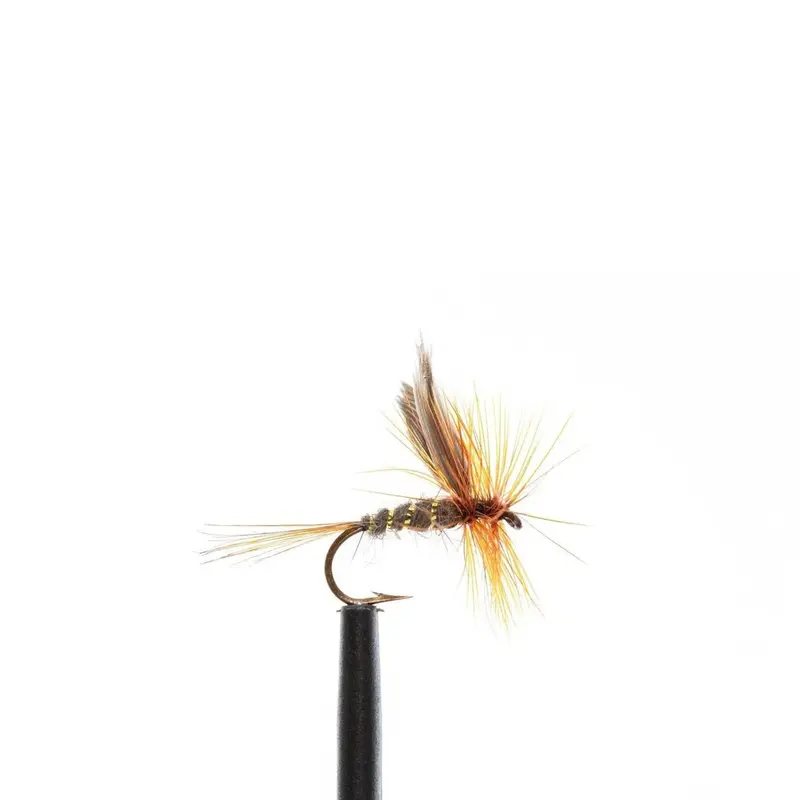 Jackson Cardinal Dry Fly – Gold-Ribbed Hare’S Ear, Size #14, 24-Pack 1