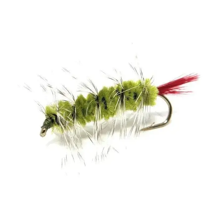 Jackson Cardinal Wooly Worm Fly – #6 Olive, Pack Of 24 1