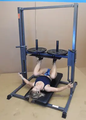 Nyb Premier Vertical Leg Press – High-Capacity Strength Equipment 1