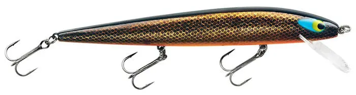 Perfect 10 Rogue Hard Bait – Gold Rogue Colorway 1