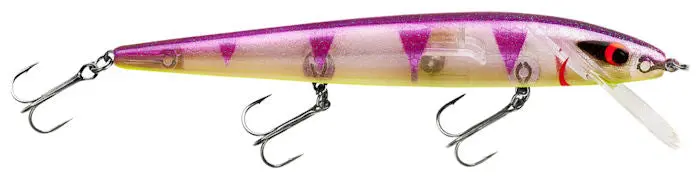 Perfect 10 Rogue Hard Bait – Perchase Colorway 1