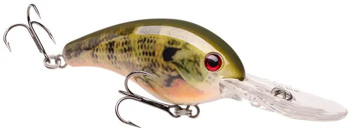 Pro-Model 10Xd Extra-Deep Crankbait – Natural Bream Finish 1