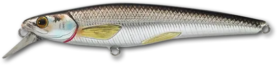 Rainbow Smelt Jerkbait In Silver And Black 1