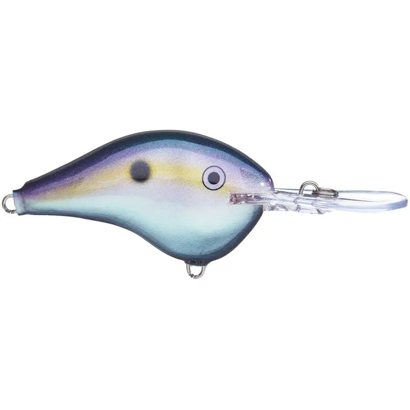 Rapala Dt-10 Floating Dives-To-10-Foot Crankbait – 2.25-Inch, 0.6-Ounce 1