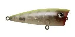 Rio Rico Skeleton Chartreuse C.S. Popper 1