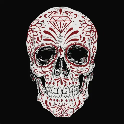 Skull And Daisy Contrast Design Tee 1
