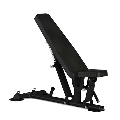 Sole Fitness Sfi100 Adjustable Multi-Angle Workout Bench 1