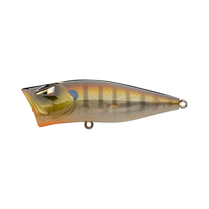 Z-Pop 70 Jp Gill Pattern 1